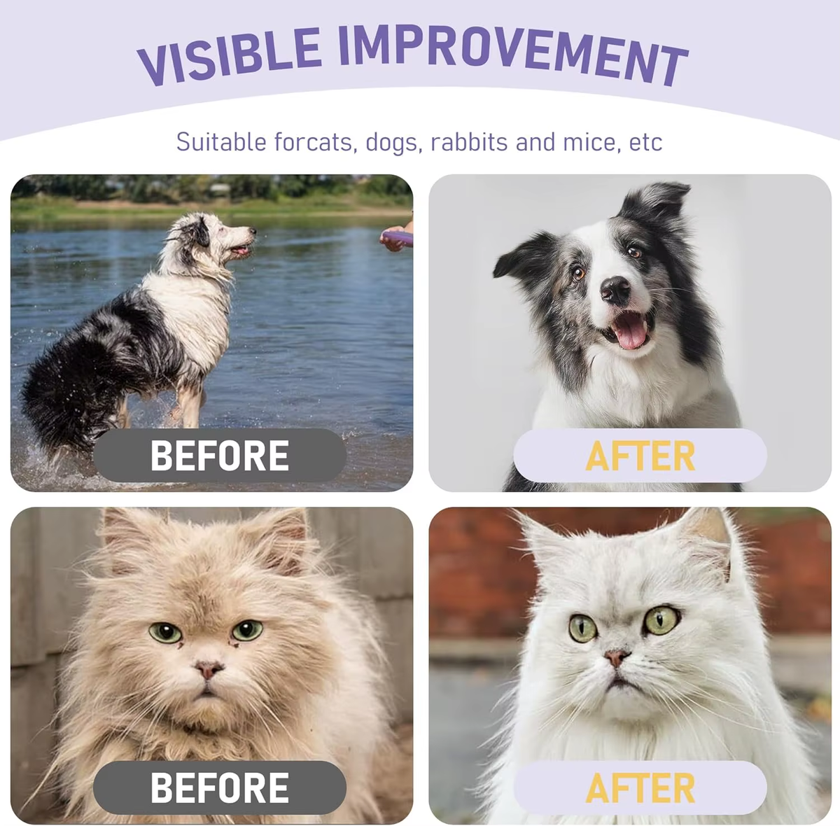 Petzura Cleaning Glove Wipes for Dogs & Cats, No-Rinse Deodorizing Grooming Wipes, Hypoallergenic, Unscented, 8 Pcs