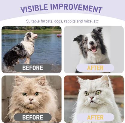 Petzura Cleaning Glove Wipes for Dogs & Cats, No-Rinse Deodorizing Grooming Wipes, Hypoallergenic, Unscented, 8 Pcs